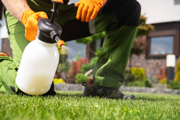 Best Insect Control  in Selma, CA