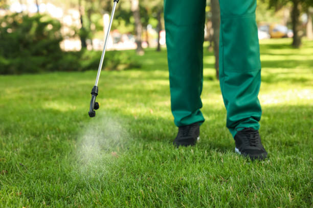 Best Mosquito Control Services  in Selma, CA