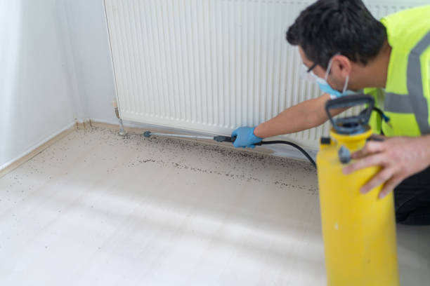 Best Affordable Pest Control Services  in Selma, CA