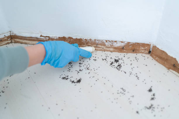 Best Commercial Pest Control Services  in Selma, CA